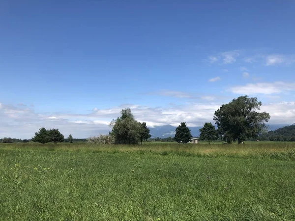 Schöne Landschaft Aus Liechtenstein Sommer 2019 — Stockfoto