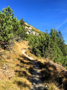 Lihtenştayn dağlarında yürüyüş yapan üç kız kardeş 1.11.2016