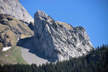 İsviçre, Wildhaus 'taki dağ manzarası 7.5.2020