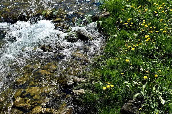 Pequeño Río Alpino Desciende Los Alpes Suizos 2020 —  Fotos de Stock