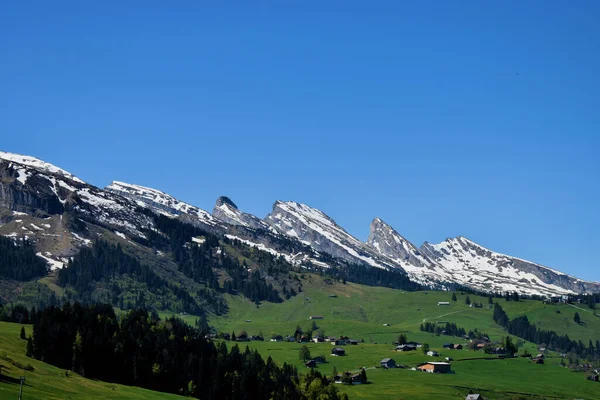 Bergpanorama Wildhaus Der Schweiz 2020 — Stockfoto