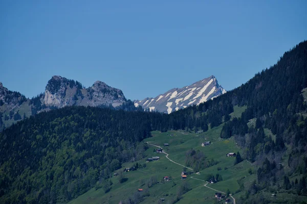 Horské Panorama Švýcarském Wildhausu 2020 — Stock fotografie