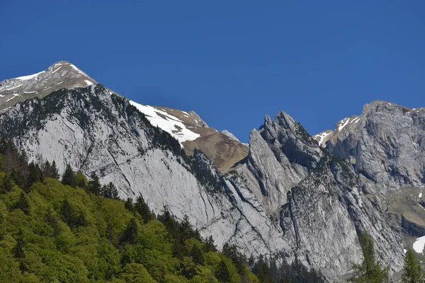 Panorama Górska Wildhaus Szwajcarii 2020 — Zdjęcie stockowe