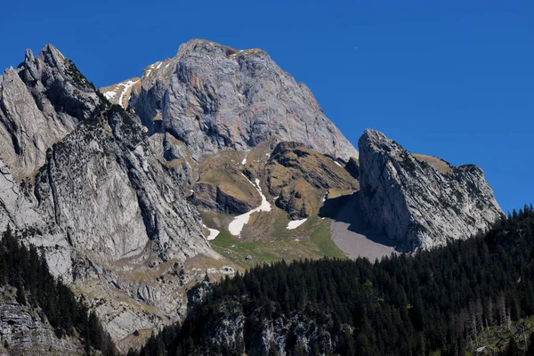 スイスのワイルドハウスで山のパノラマ 2020 — ストック写真