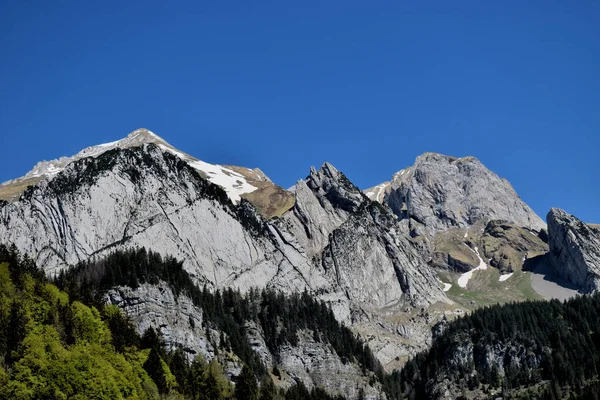 Ορεινό Πανόραμα Στο Wildhaus Στην Ελβετία 2020 — Φωτογραφία Αρχείου