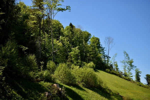 Paisagem Appenzell Suíça 2020 — Fotografia de Stock