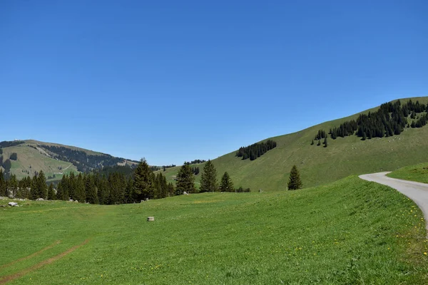 スイスのサンティス山周辺のUnterwasserの風景7 2020 — ストック写真