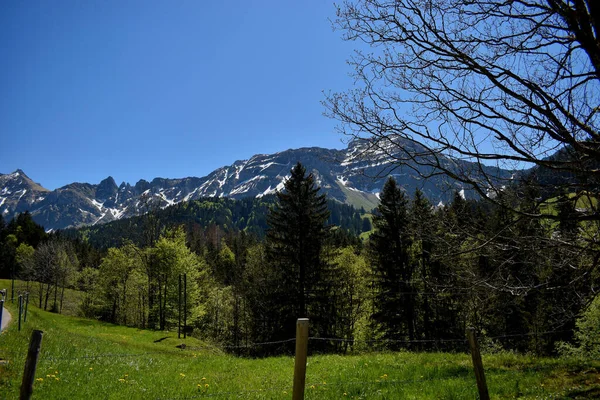 Swiss Panoramic View Area Mount Santis 2020 — Stock Photo, Image