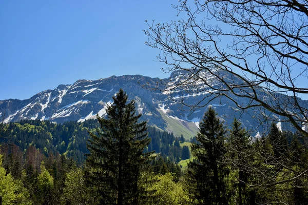 Schweizisk Panoramautsikt Området Kring Berget Santis 2020 — Stockfoto