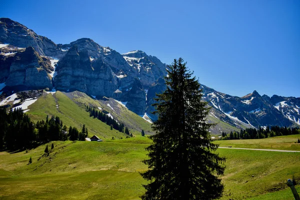 Vista Panorámica Suiza Zona Alrededor Del Monte Santis 2020 —  Fotos de Stock