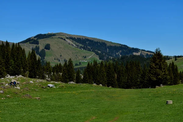 Швейцарський Панорамний Вид Районі Гори Santis 2020 — стокове фото