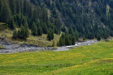 İsviçre 'deki Canton Glarus' un kırsal manzarası 8.5.2020