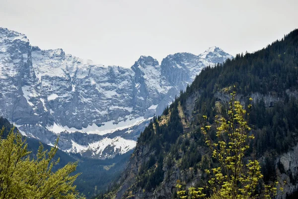クラウセンパス全体のスイスの山の風景8 2020 — ストック写真