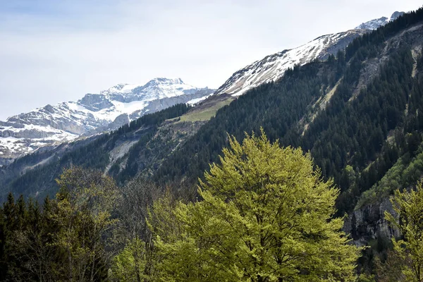 Ελβετικό Ορεινό Τοπίο Όλη Την Klausenpass 2020 — Φωτογραφία Αρχείου