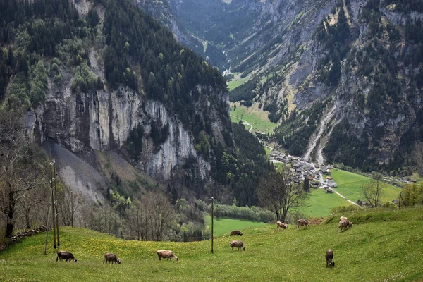 Paisaje Montañoso Suizo Través Del Klausenpass 2020 — Foto de Stock