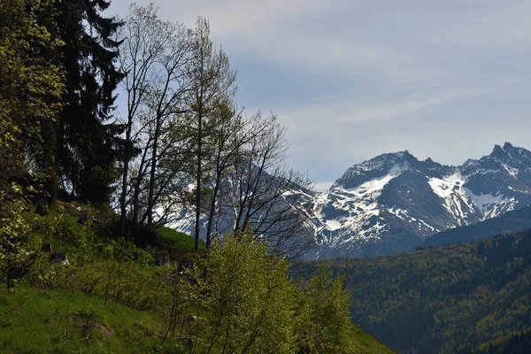 Panorama Montaña Durante Viaje Por Carretera Oberalppass Suiza 2020 —  Fotos de Stock