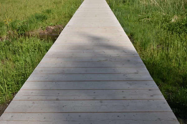 Petite Passerelle Laax Suisse 2020 — Photo