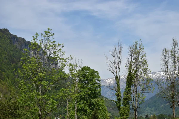 Paisaje Rural Cantón Glarus Suiza 2020 —  Fotos de Stock