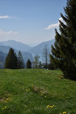 İsviçre, Flumserberg 'den kırsal manzara. 17.5.2020