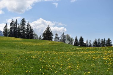 İsviçre, Flumserberg 'de 17.5.2020' de güzel bir manzara.