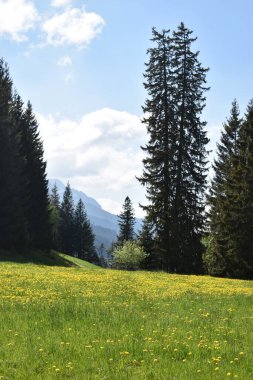 İsviçre, Flumserberg 'de 17.5.2020' de güzel bir manzara.