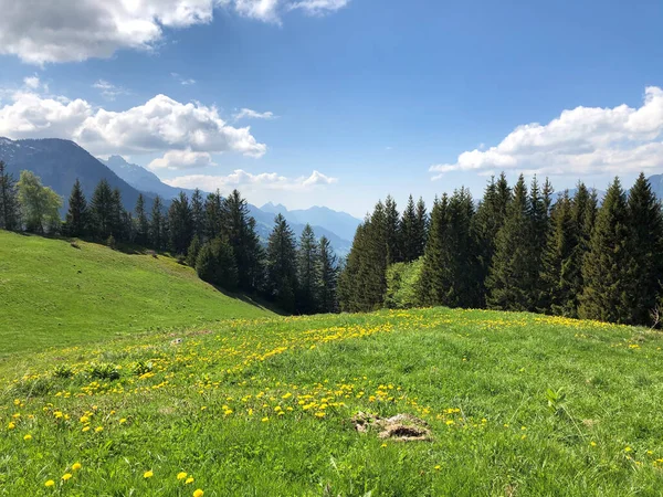 Paisaje Alpino Flumserberg Suiza 2020 — Foto de Stock