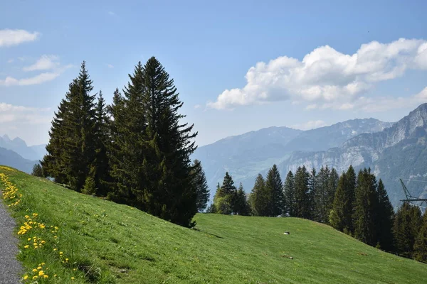 2020年5月17日在瑞士弗鲁姆塞尔贝格的一座山丘上看到的绝妙景色 — 图库照片