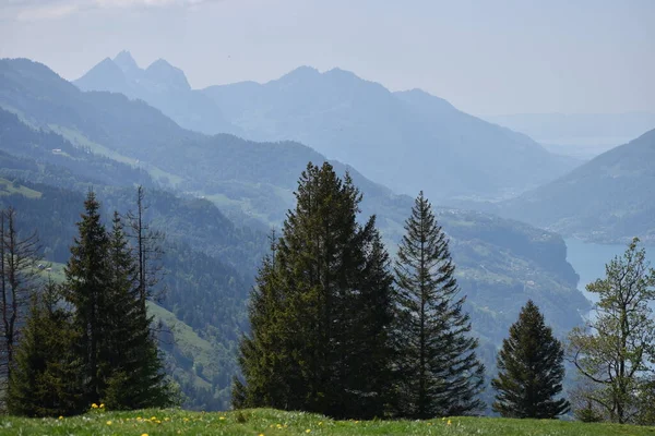 スイスのFlumserbergから農村風景17 2020 — ストック写真