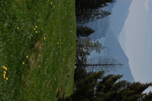 スイスのFlumserbergから農村風景17 2020 — ストック写真