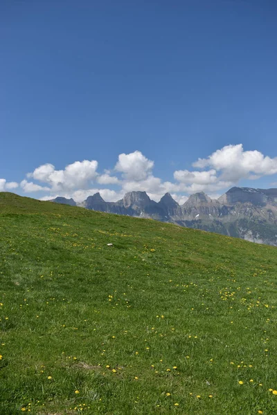 Cenário Rural Flumserberg Suíça 2020 — Fotografia de Stock