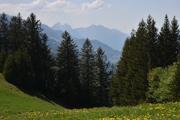 Vackert Landskap Flumserberg Schweiz 2020 — Stockfoto