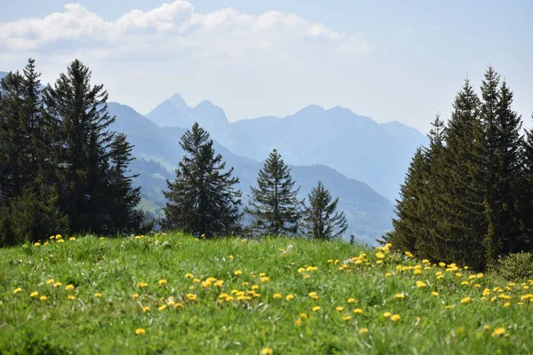 Beautiful Landscape Flumserberg Switzerland 2020 — Stock Photo, Image