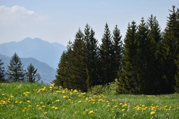 Beautiful Landscape Flumserberg Switzerland 2020 — Stock Photo, Image