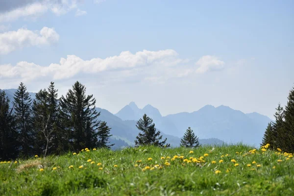 スイスのFlumserbergで美しい風景17 2020 — ストック写真