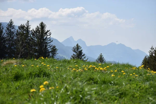 スイスのFlumserbergで美しい風景17 2020 — ストック写真
