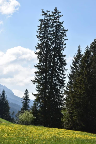 Krásná Krajina Flumserbergu Švýcarsku 2020 — Stock fotografie