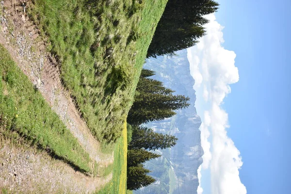 Malá Alpská Lávka Flumserbergu Švýcarsku 2020 — Stock fotografie