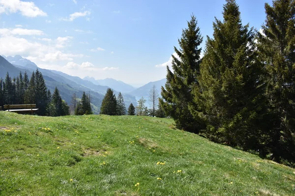 Cenário Rural Flumserberg Suíça 2020 — Fotografia de Stock