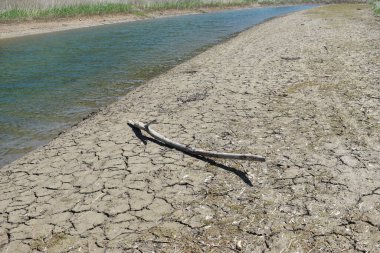 İsviçre 'de kurak bir dönemden sonra körfezde uzanan şube 18.5.2020' dir.