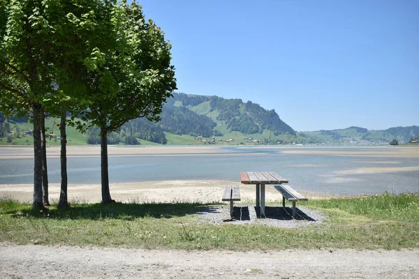 Pusta Ławka Sihlsee Szwajcarii Podczas Kryzysu Koronowego 2020 — Zdjęcie stockowe