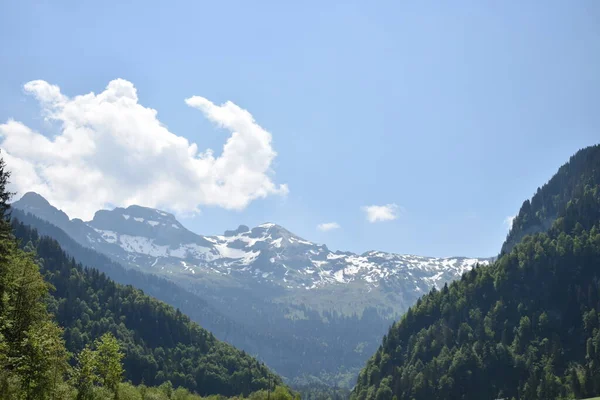 Panorama Montaña Cerca Einsiedeln Suiza 2020 —  Fotos de Stock