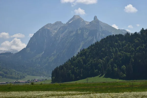 Bergpanorama Bij Einsiedeln Zwitserland 2020 — Stockfoto