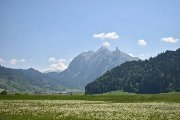 Fjällpanorama Nära Einsiedeln Schweiz 2020 — Stockfoto