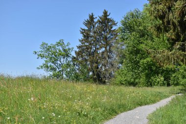 İsviçre 'de Sihlsee' de güzel bir manzara 18.5.2020