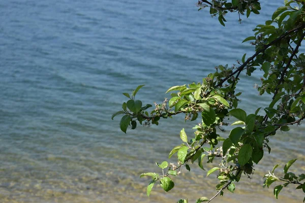 Prachtig Landschap Aan Sihlsee Zwitserland 2020 — Stockfoto