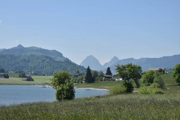Beautiful Landscape Sihlsee Switzerland 2020 — Stock Photo, Image