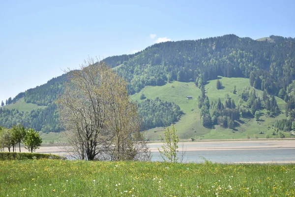 Idyllic Natural Scenery Sihlsee Switzerland 2020 — Stock Photo, Image