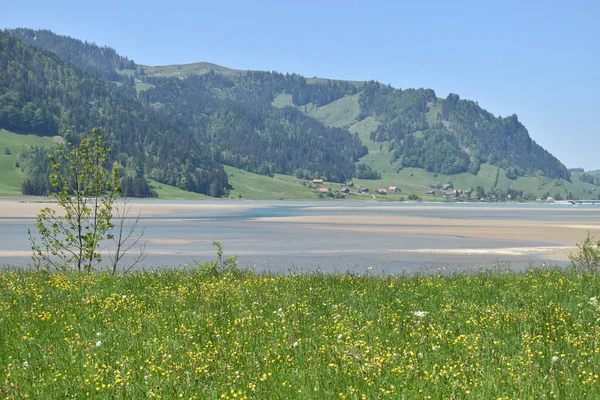 Ειδυλλιακό Φυσικό Τοπίο Γύρω Από Sihlsee Στην Ελβετία 2020 — Φωτογραφία Αρχείου