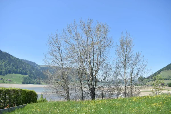 瑞士Sihlsee周围的Idyllic自然景观 — 图库照片