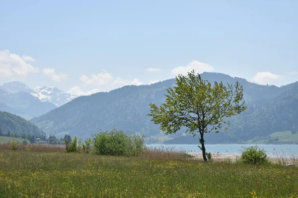 スイスのシルベー周辺のダイナミックな自然景観 2020 — ストック写真